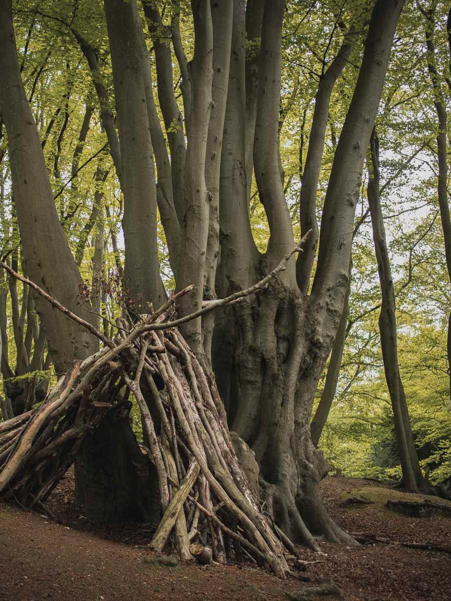 Underland: A Deep Time Journey