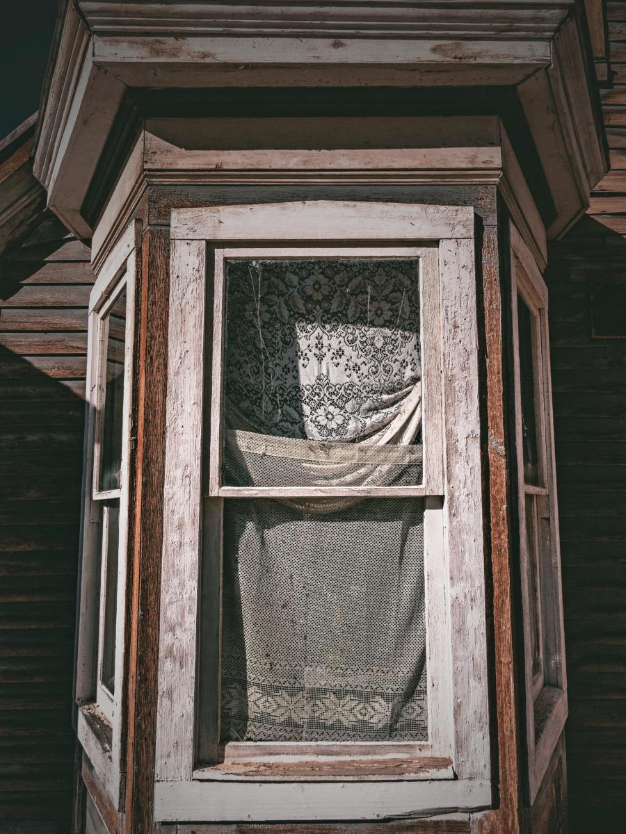 The Topless Widow of Herkimer Street