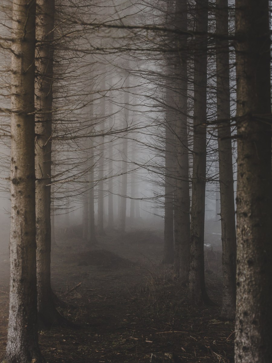 Two Poems by marge piercy