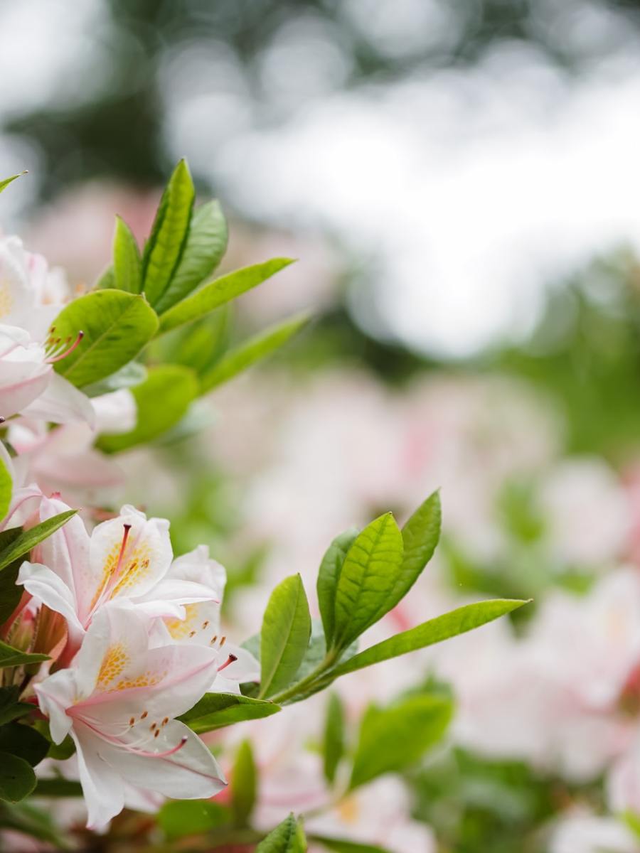 The Secrets of the Waterfall