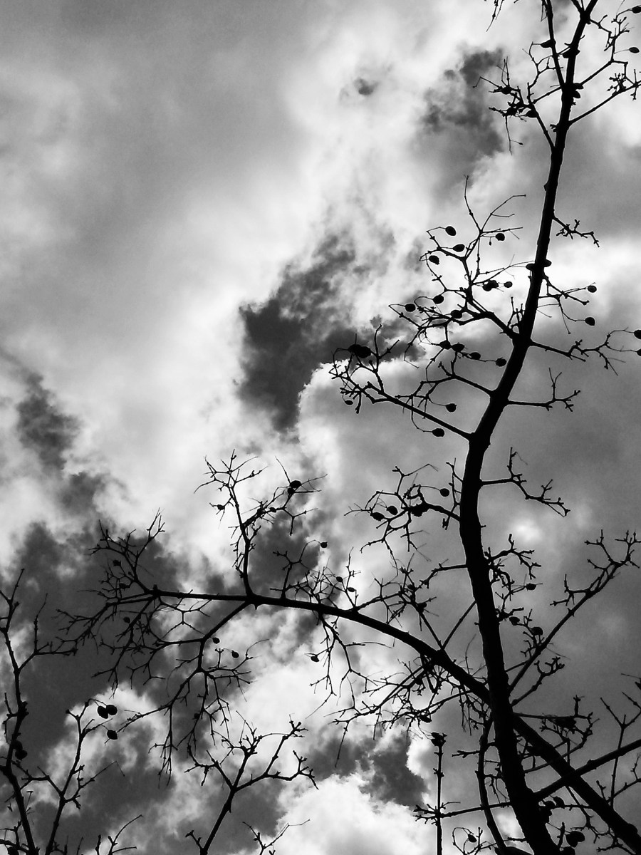 Everything That Rises Must Converge