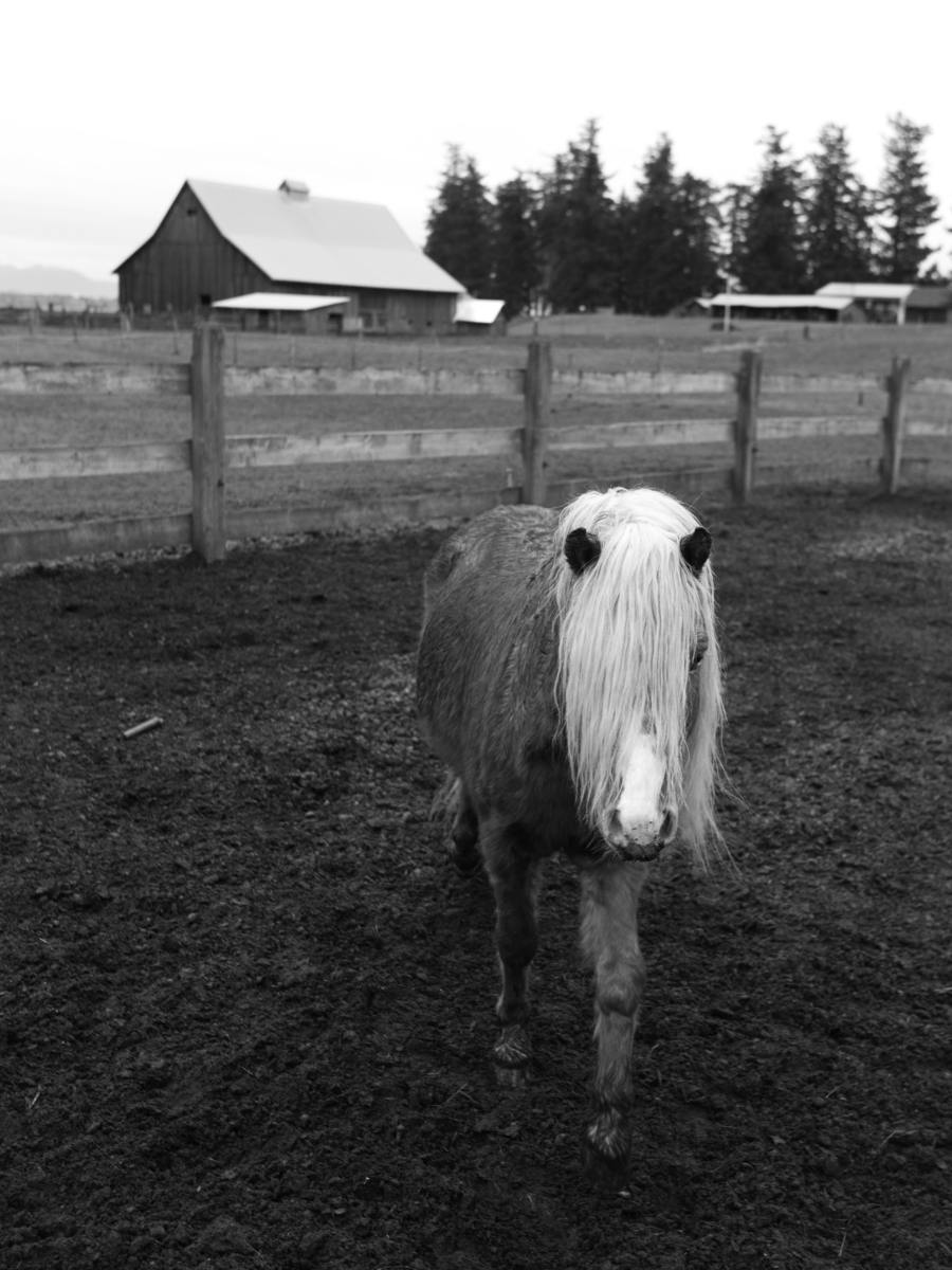 Do a Riding, Part Two