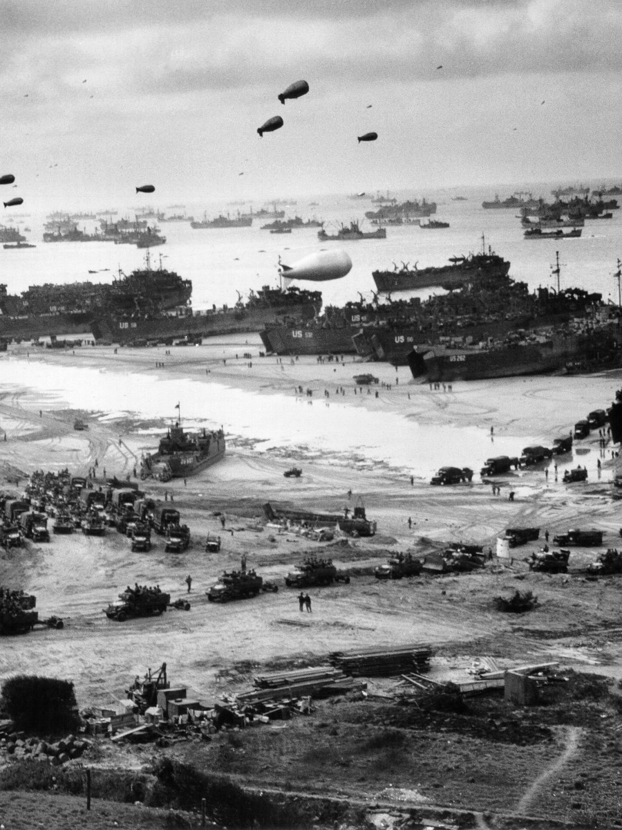 As If, Fields of Lavender