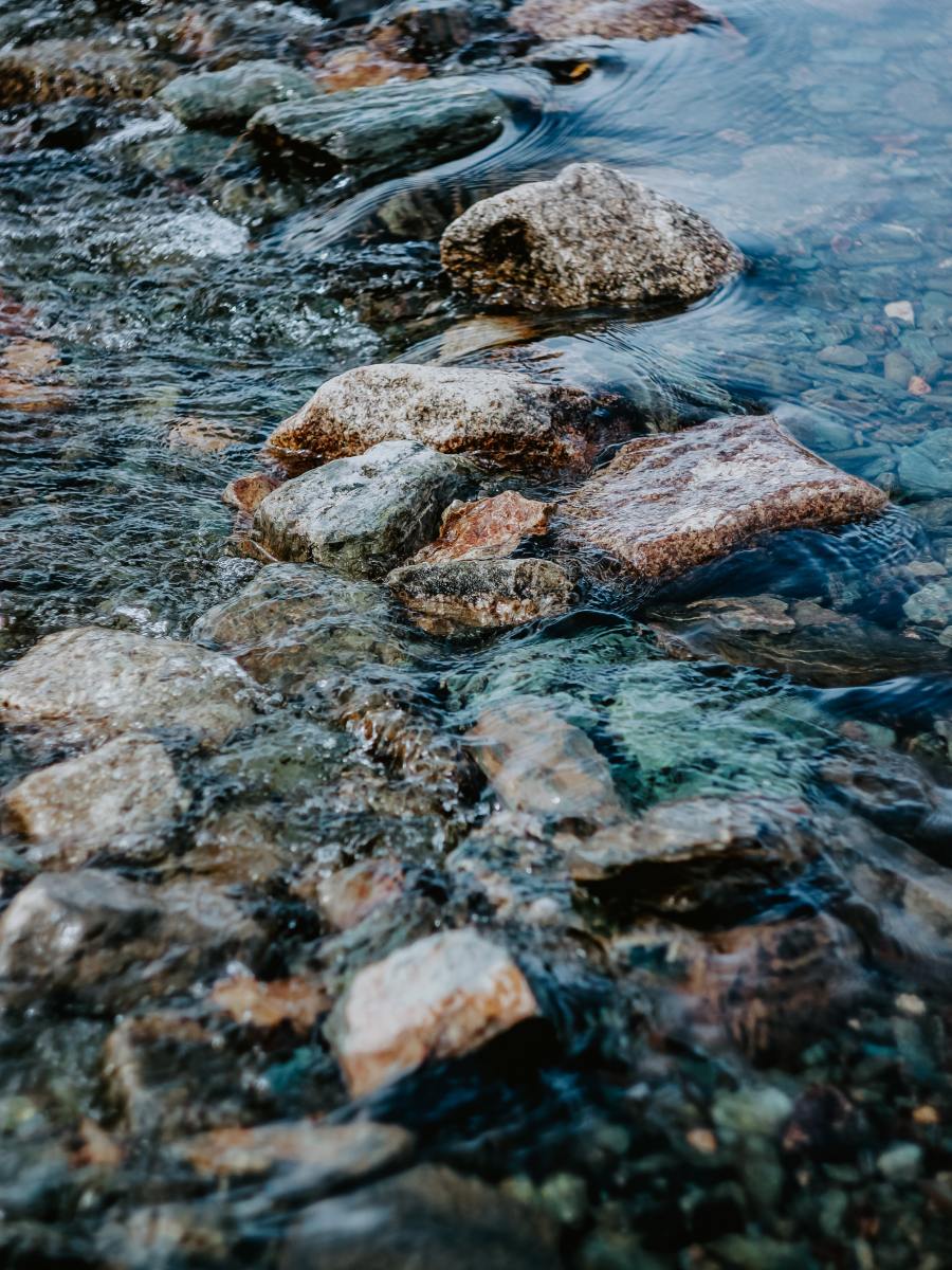 Out to the Farm in July